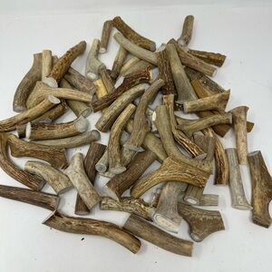 Lot Of 3 Real Medium Whitetail Deer Antler Dog Chews For Medium Sized Dogs
